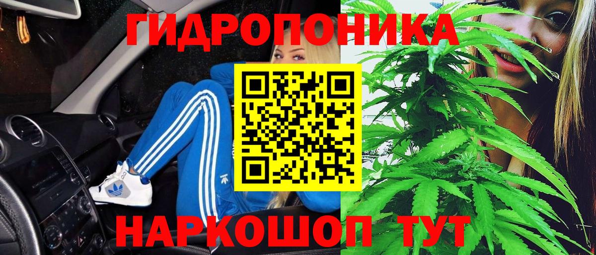Людиново  МАРИХУАНА план  Конопля план  Вход с VPN 